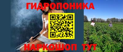 таблы Можга