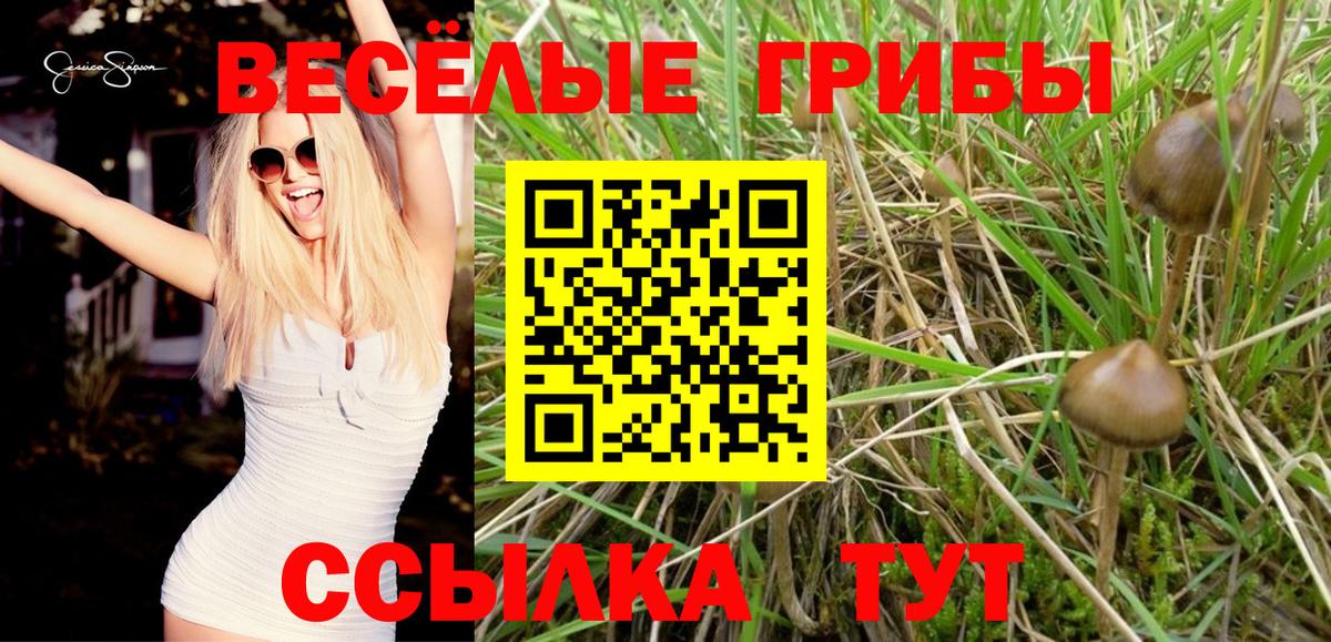 Галлюциногенные грибы Psilocybe  Вход с VPN  Ухта 